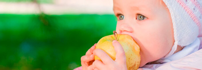 ¿Qué come un bebé de los 6 a los 12 meses?
