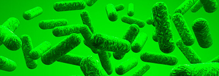 Imagen de probióticos con fondo verde
