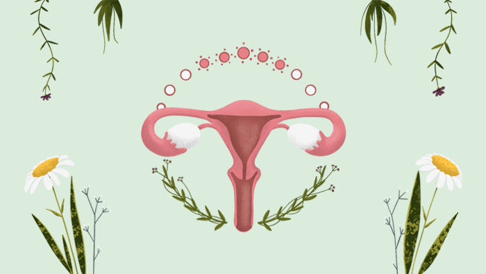 Ilustración del ciclo menstrual de una mujer