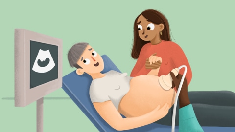 Ilustración de una ginecóloga haciendo la prueba del pliegue nucal a una mujer embarazada en el hospital