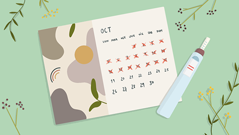Ilustración de un calendario menstrual y un test positivo de embarazo