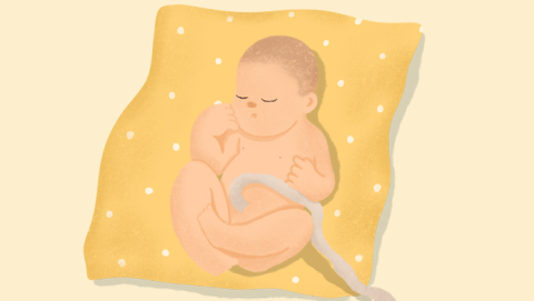 Ilustración de un bebé con el cordón umbilical
