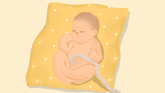 Ilustración de un bebé con el cordón umbilical