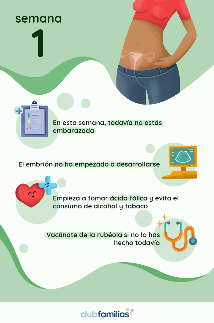 Infografica guida alla gravidanza, settimana 1