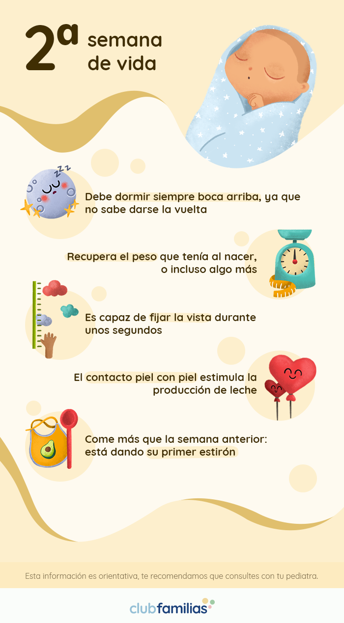 Segunda Semana De Vida Del Recien Nacido Club Familias