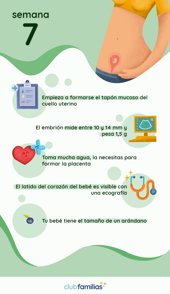 Micción frecuente en el embarazo de 31 semanas