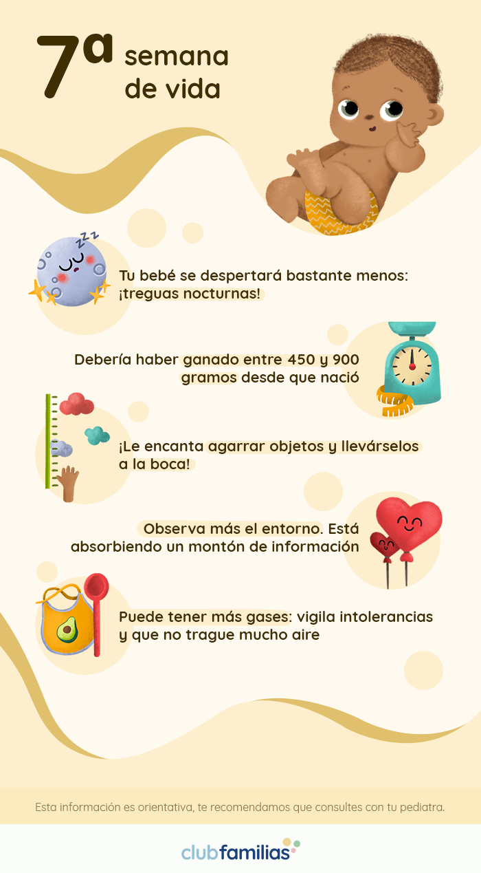 Septima Semana De Vida Del Recien Nacido Club Familias Septima Semana De Vida Del Recien Nacido Club Familias
