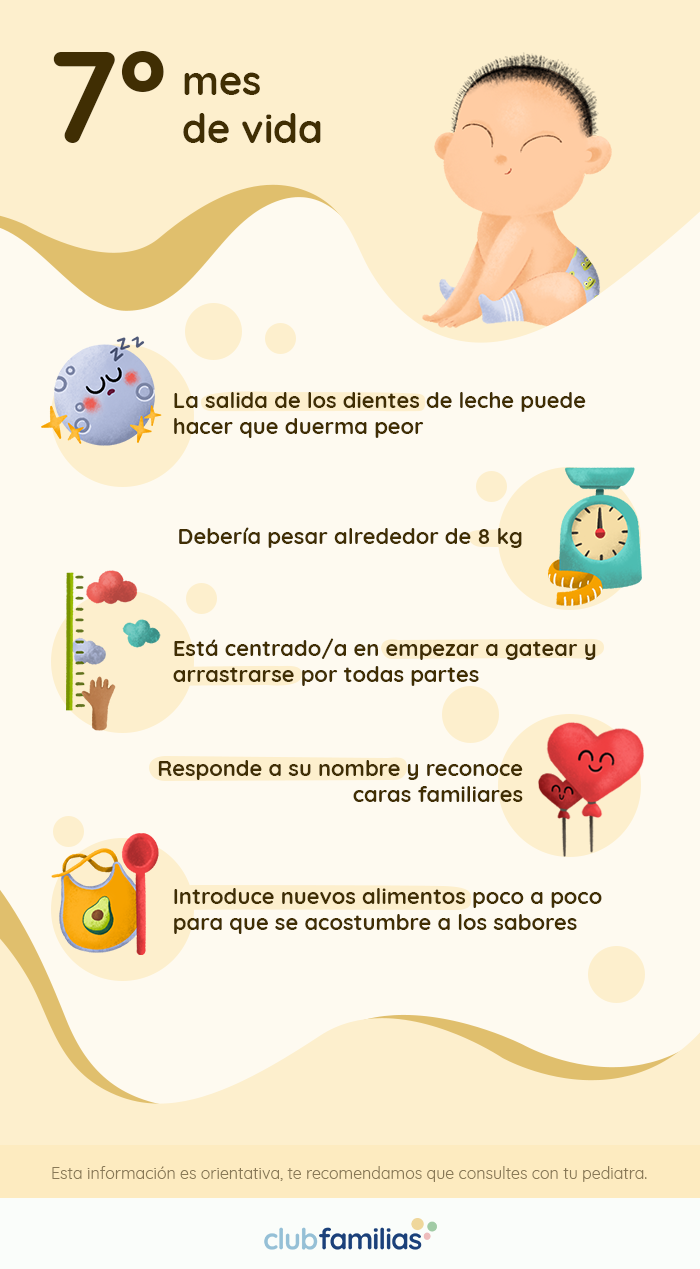 Septimo Mes De Vida De Tu Bebe Club Familias