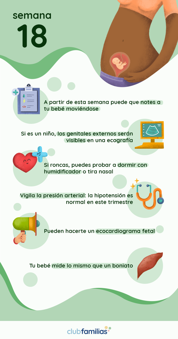 Semana 18 de embarazo Club Familias