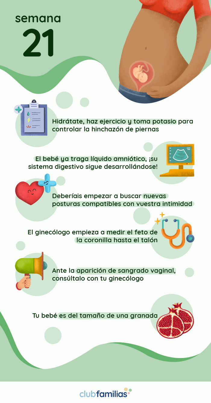 Semana 21 de embarazo Club Familias