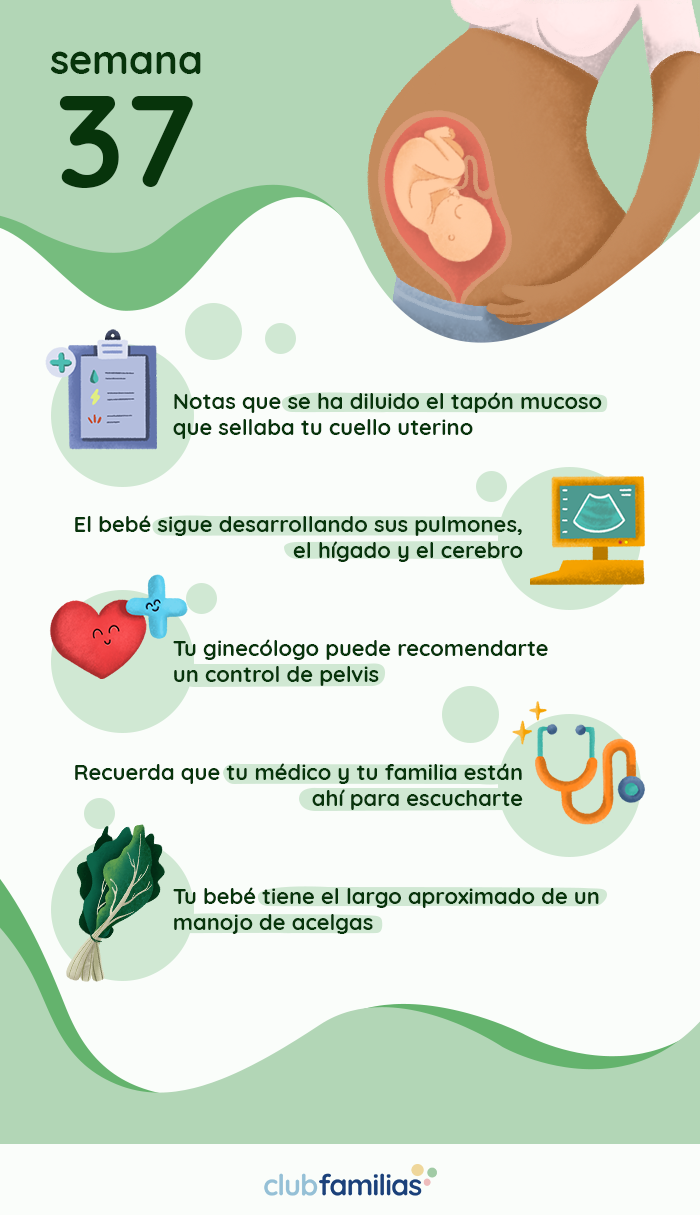 Semana 37 de embarazo Club Familias