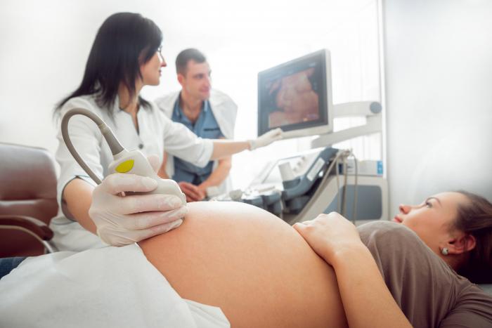 Mujer embarazada en la consulta de la ginecóloga haciéndose un control de percentiles fetales