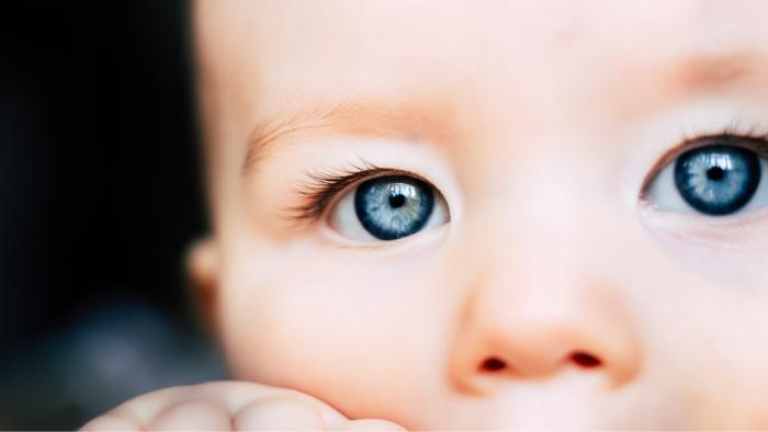 Primer plano de los ojos azules de un bebé