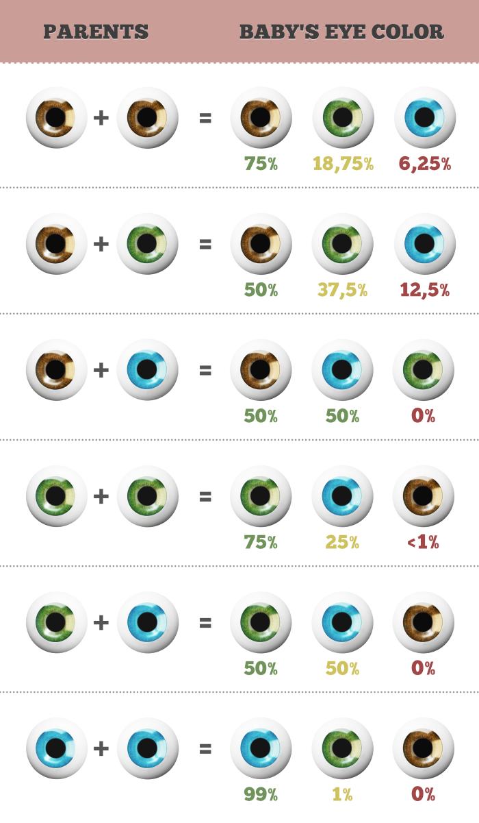 Tabla comparativa para saber el color de ojos del bebé