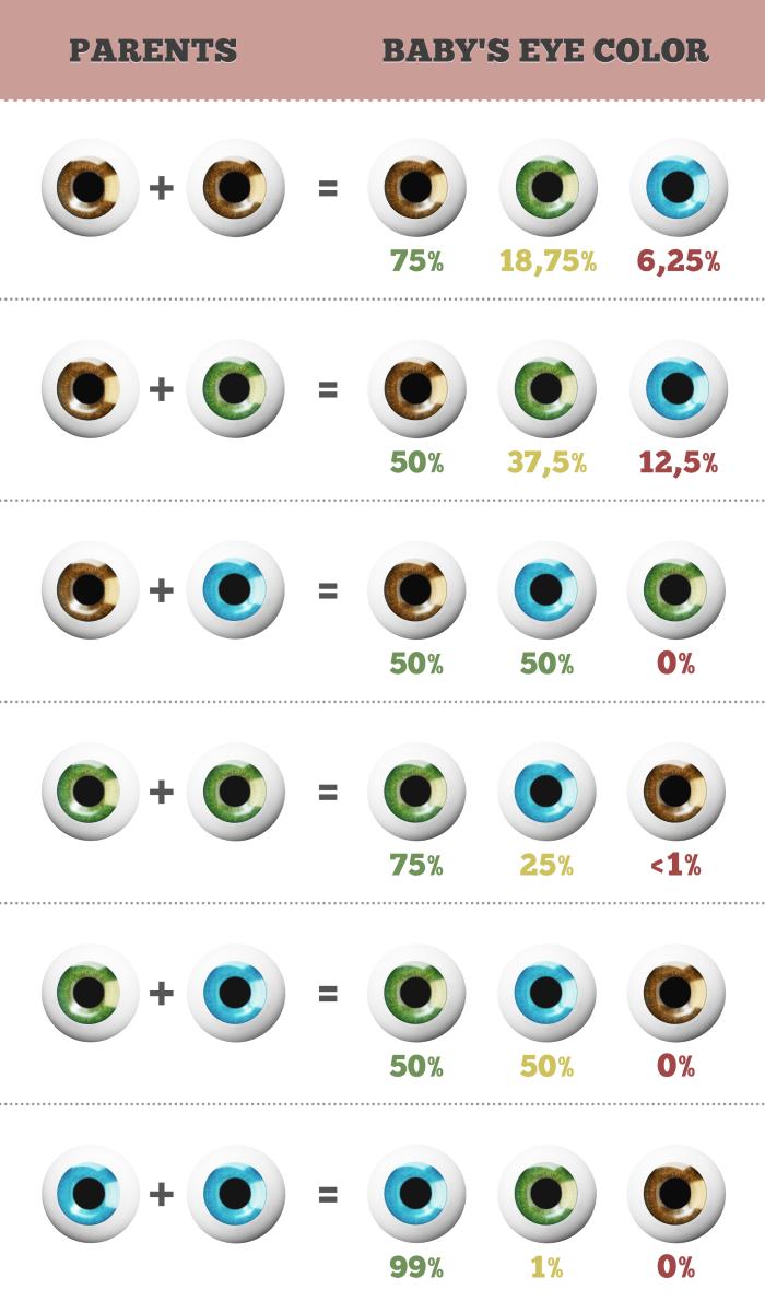 De Que Color Seran Los Ojos De Mi Bebe Club Familias