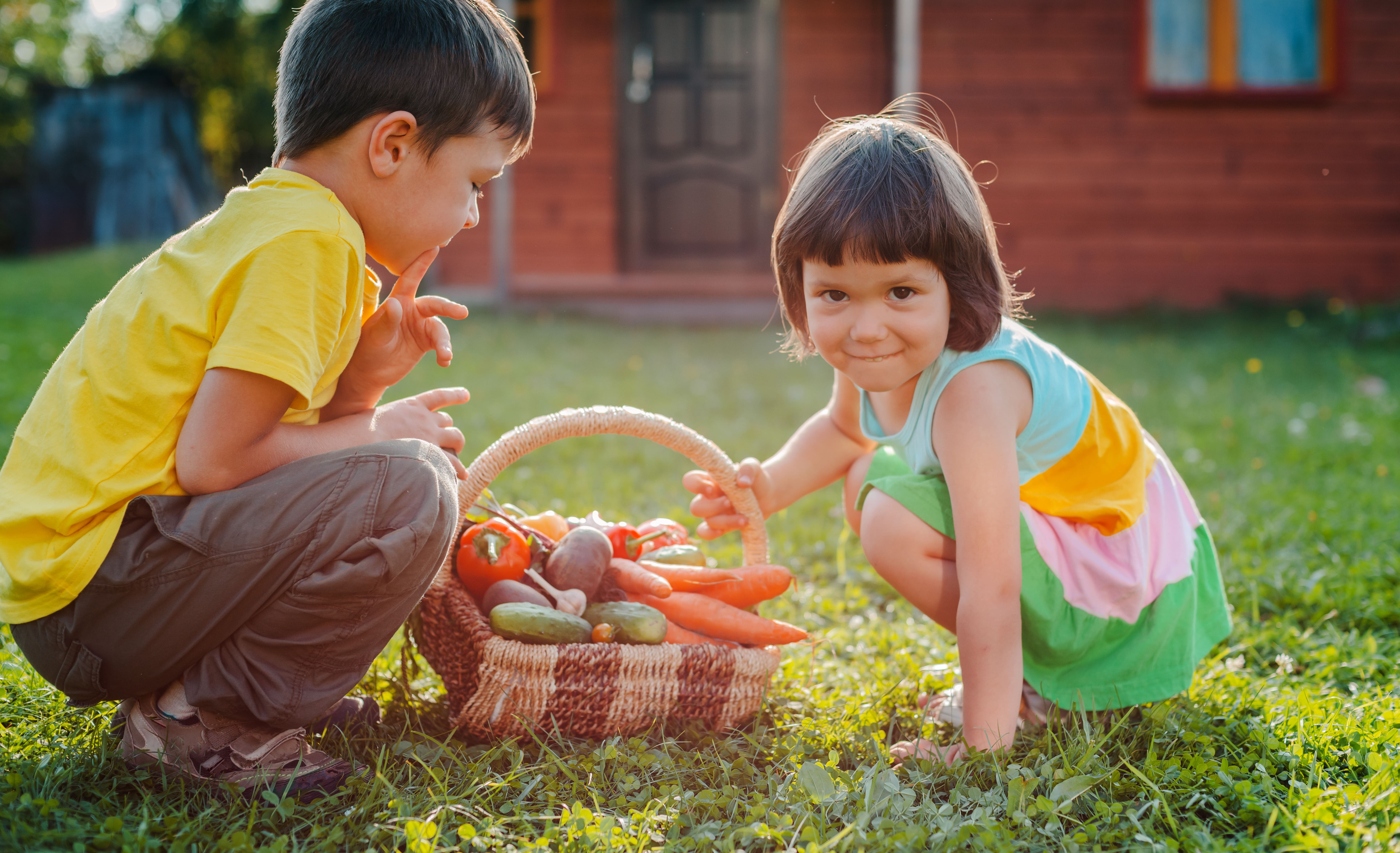 Niños en un ambiente rural con una cesta de productos ecológicos. 